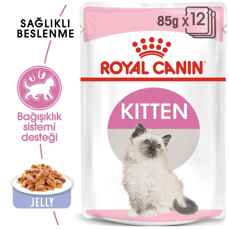 Görsel küçük resim 3