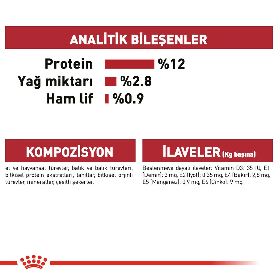 Görsel küçük resim 7