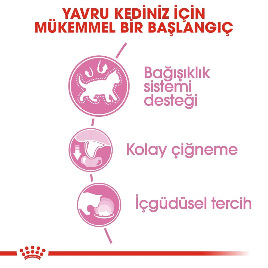 Görsel küçük resim 4