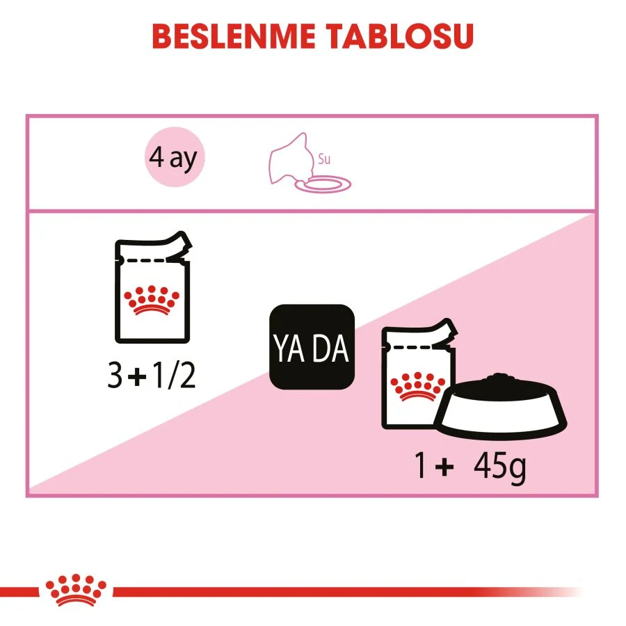 Görsel küçük resim 6