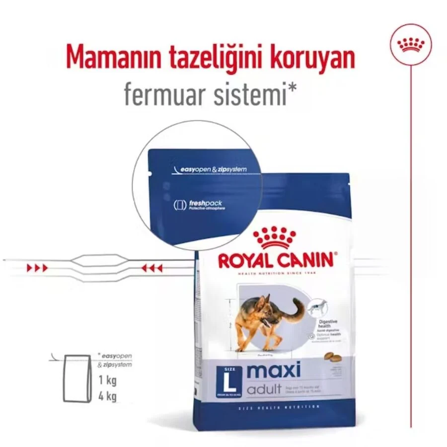 Görsel küçük resim 3