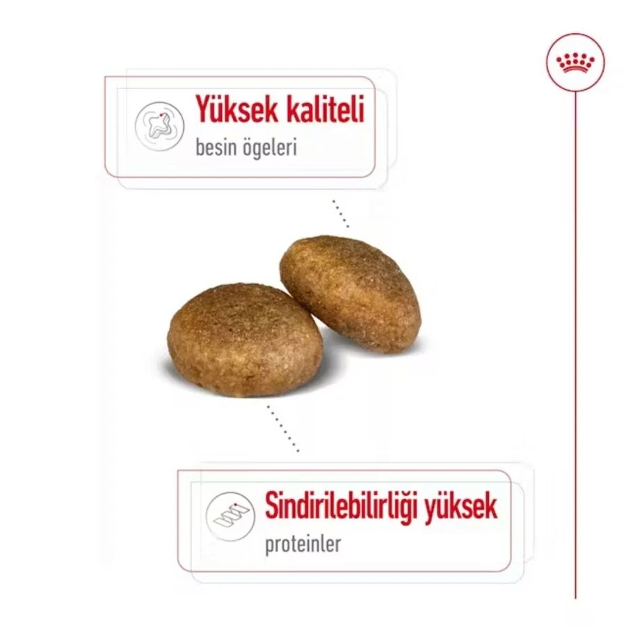 Görsel küçük resim 4