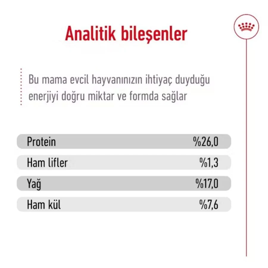 Görsel küçük resim 5