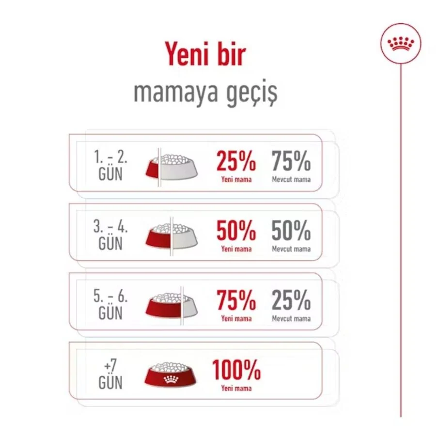 Görsel küçük resim 6