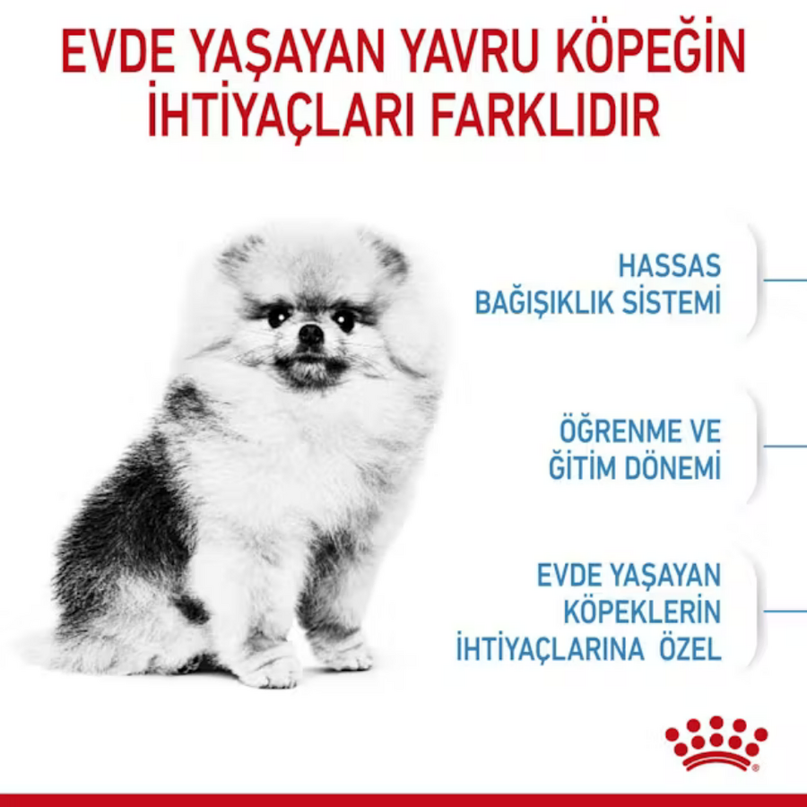 Görsel küçük resim 5