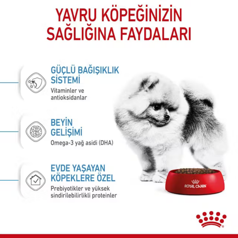 Görsel küçük resim 6