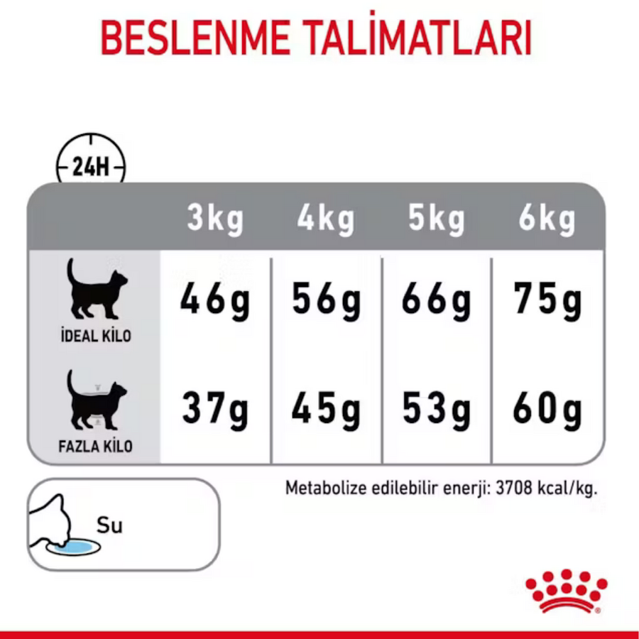 Görsel küçük resim 4