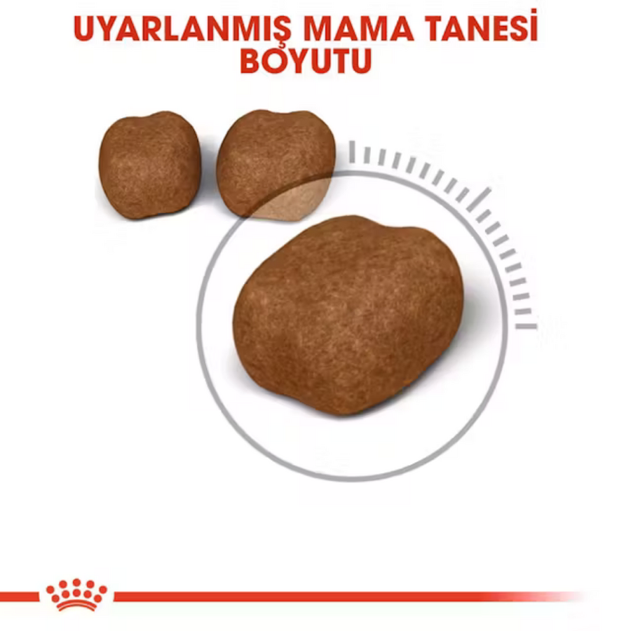 Görsel küçük resim 5