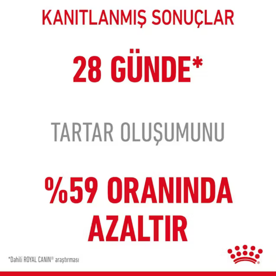 Görsel küçük resim 6