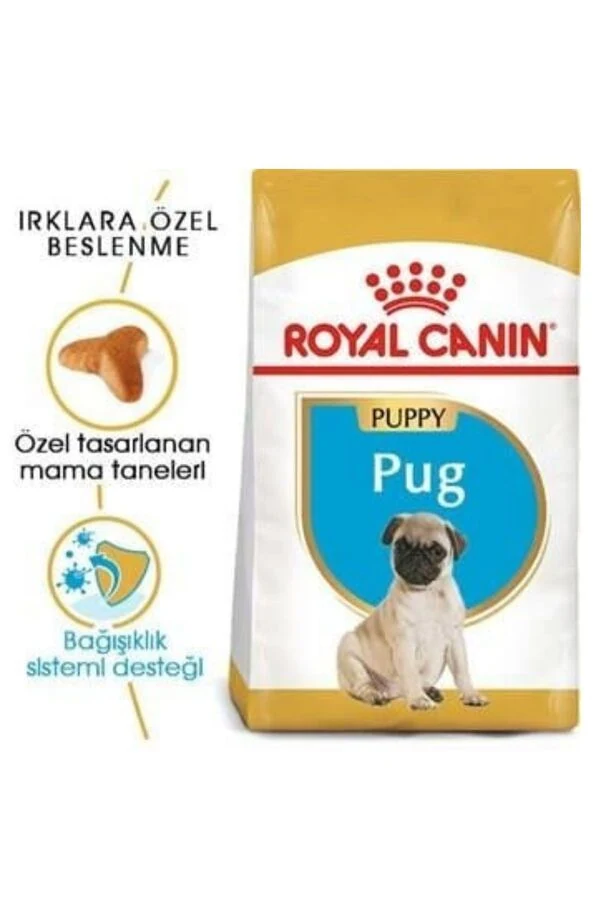 Görsel küçük resim 3