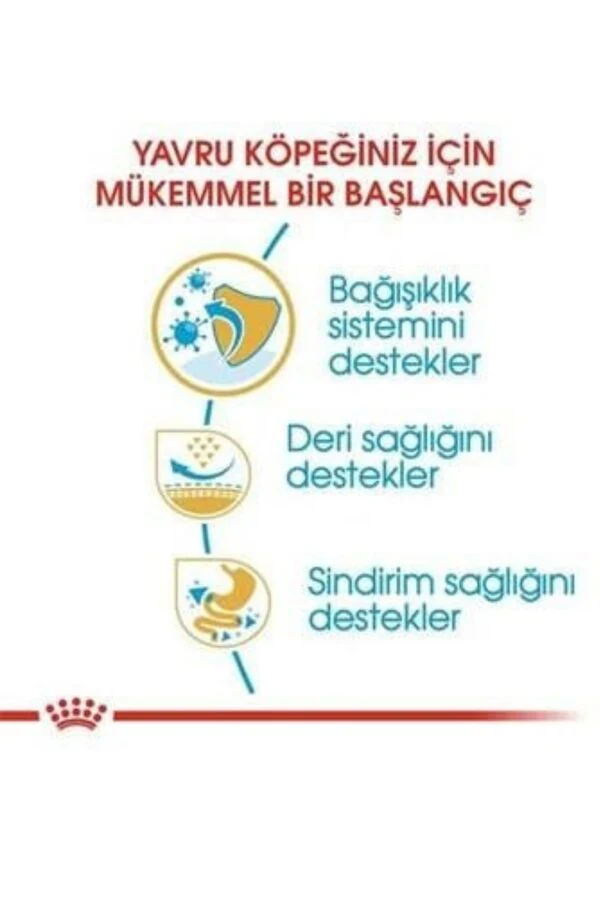 Görsel küçük resim 4