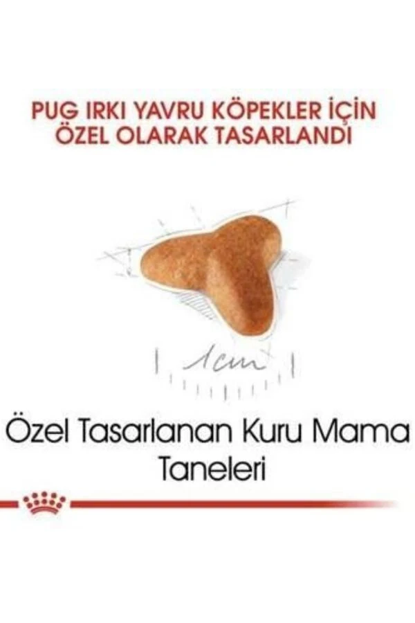 Görsel küçük resim 5