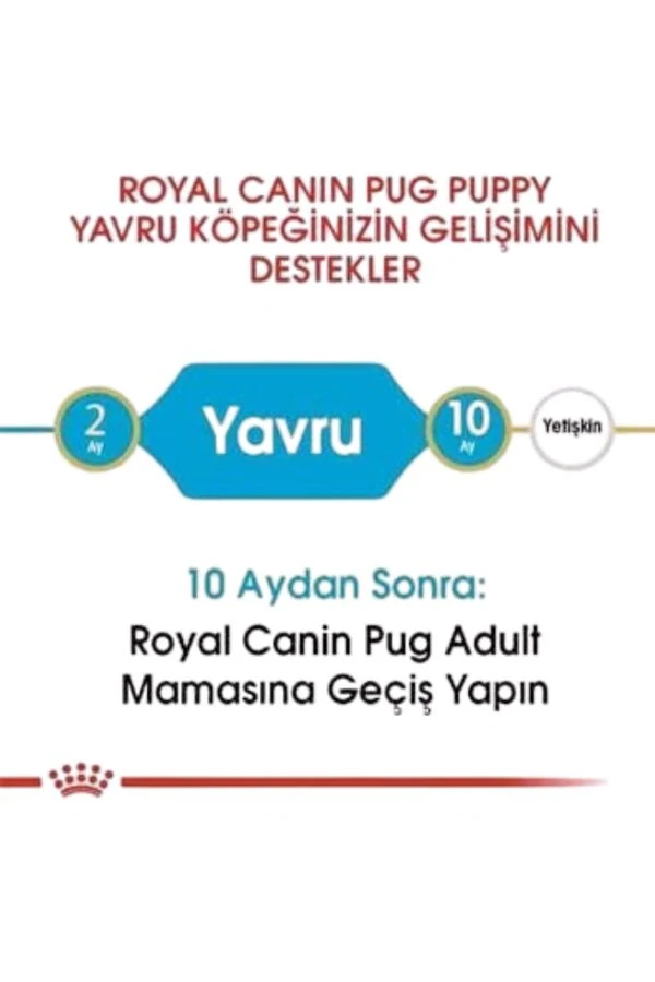 Görsel küçük resim 6