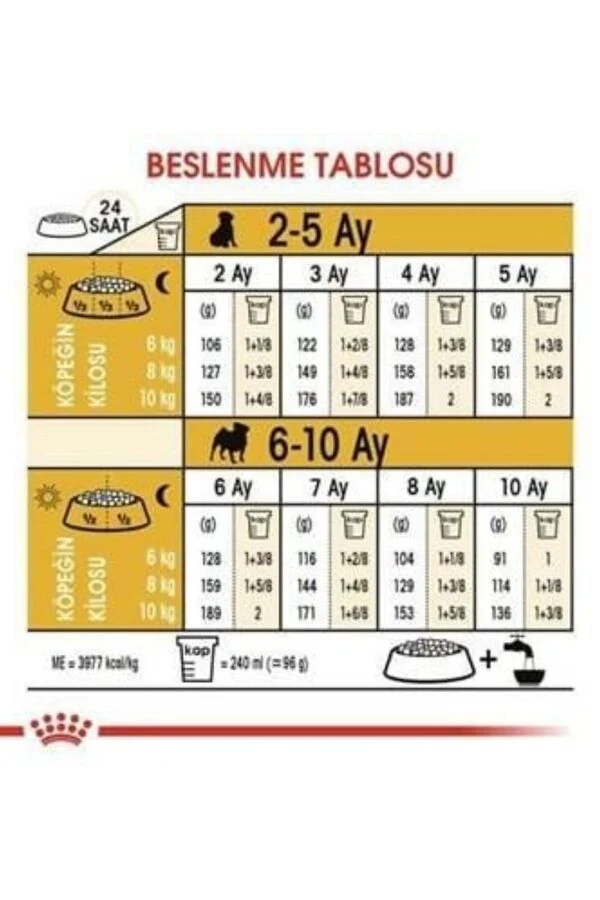 Görsel küçük resim 7