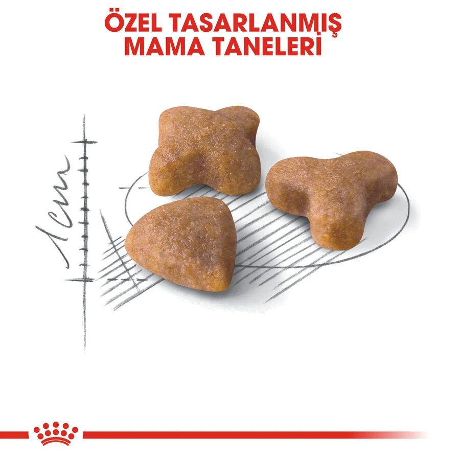 Görsel küçük resim 4