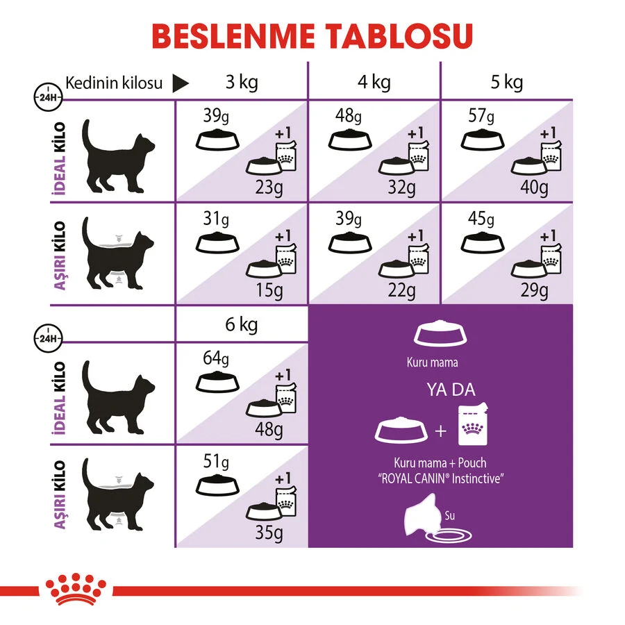 Görsel küçük resim 5