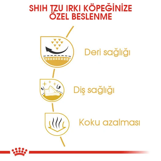 Görsel küçük resim 6