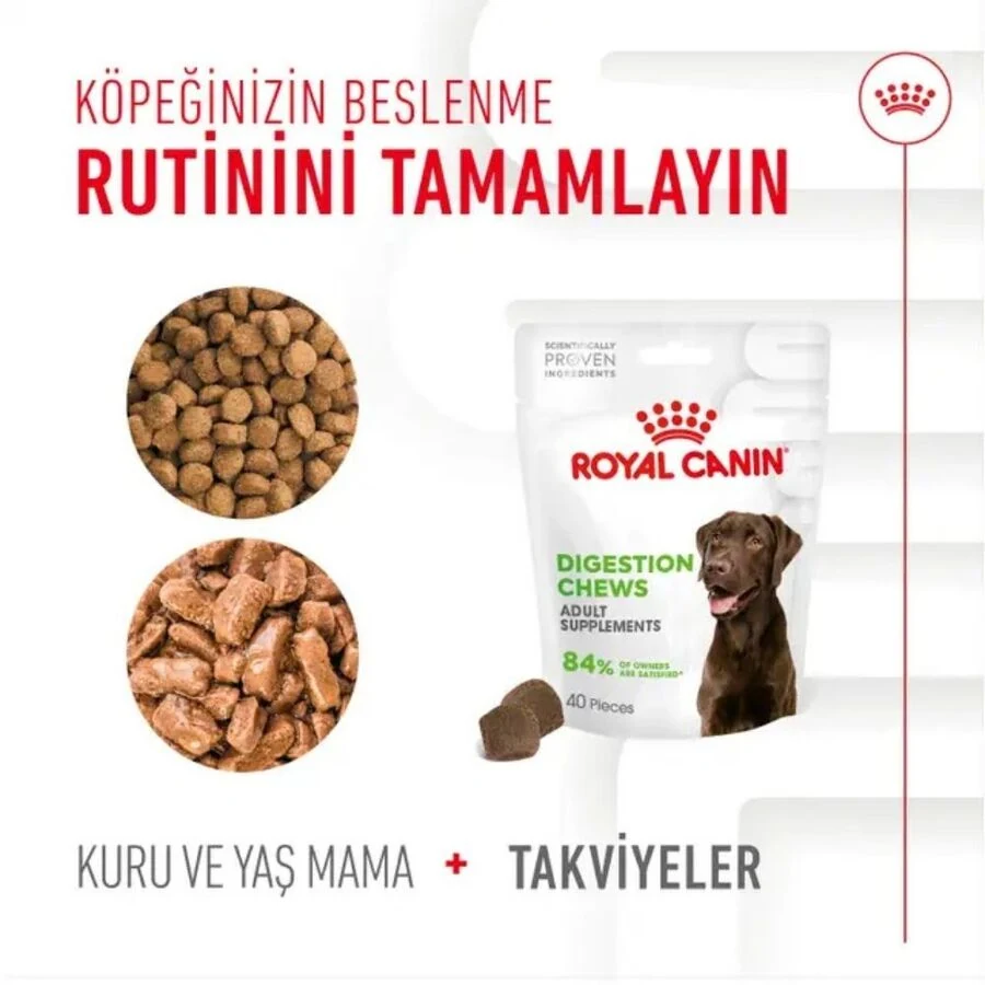 Görsel küçük resim 3