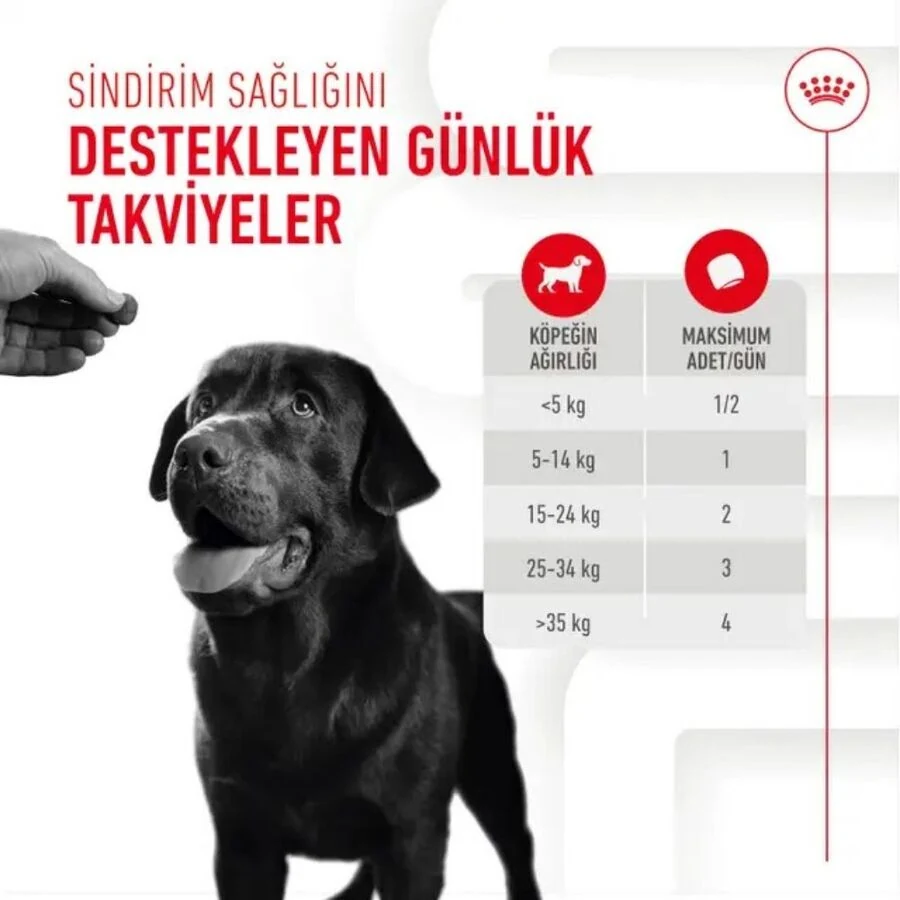 Görsel küçük resim 5