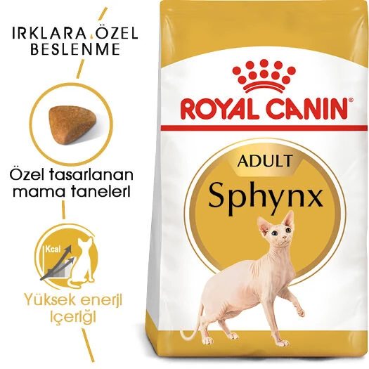 Görsel küçük resim 3