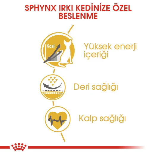 Görsel küçük resim 6