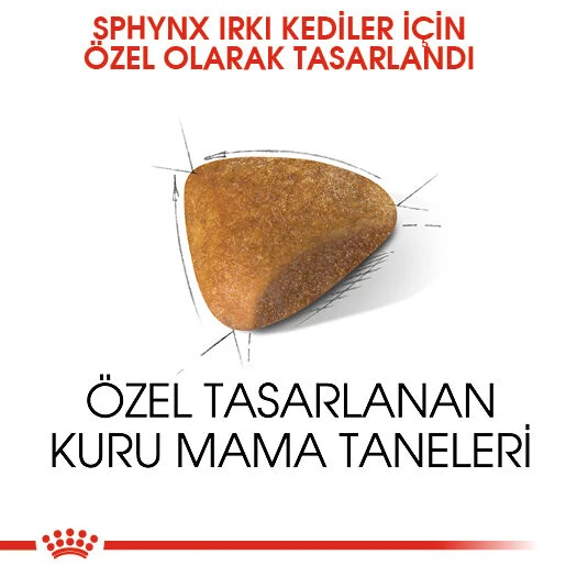 Görsel küçük resim 5