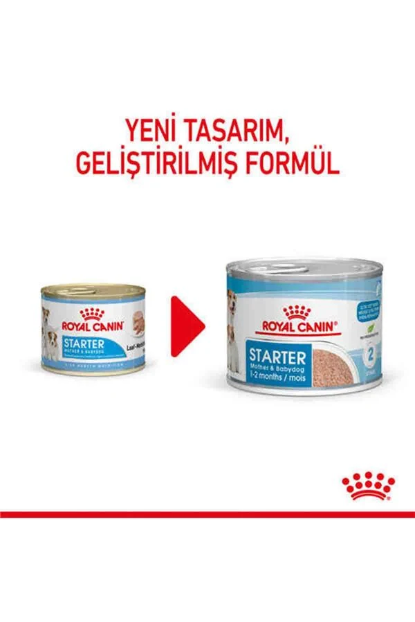 Görsel küçük resim 3