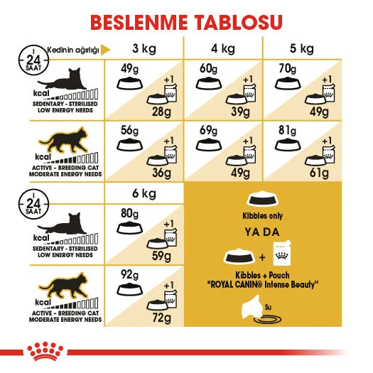 Görsel küçük resim 7