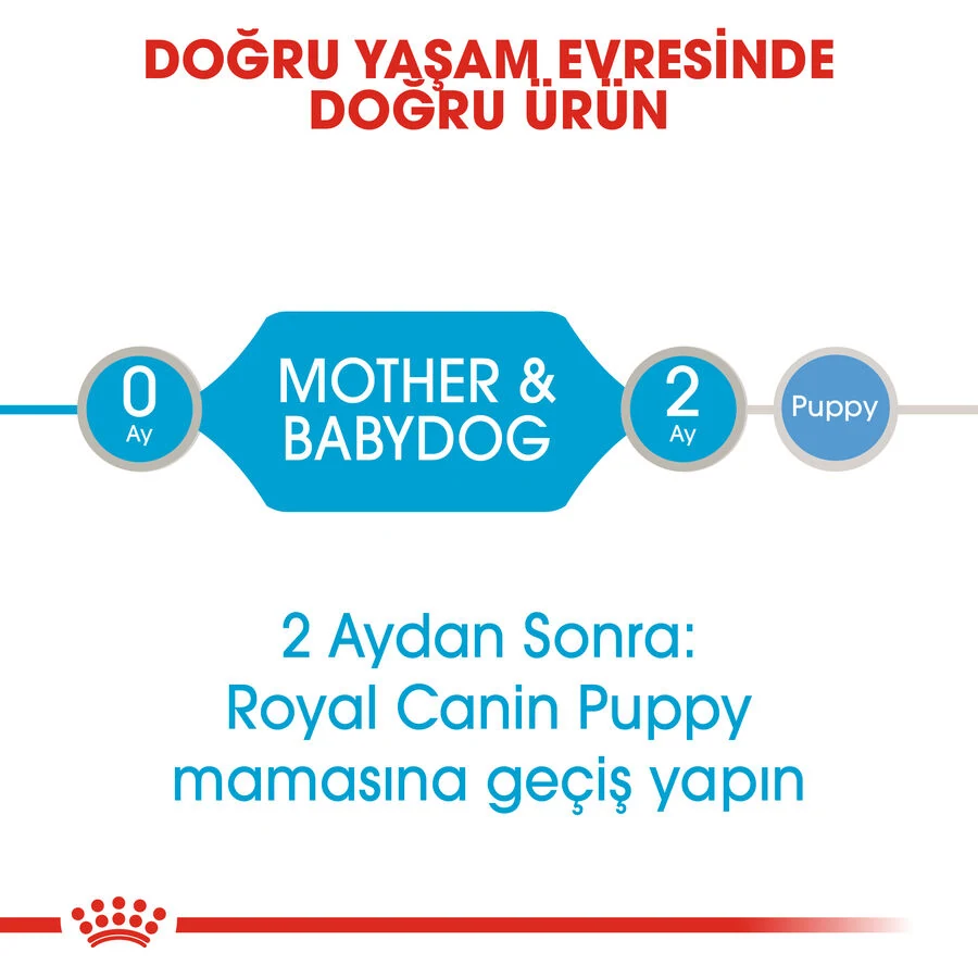 Görsel küçük resim 5