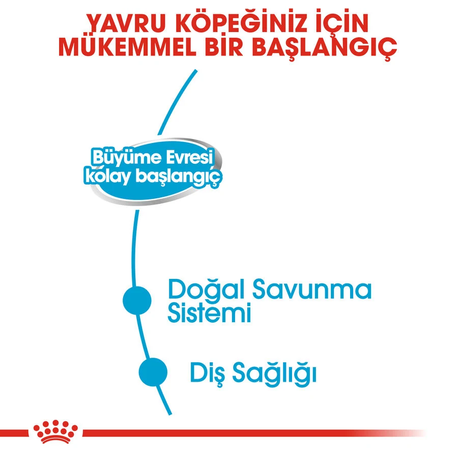 Görsel küçük resim 6