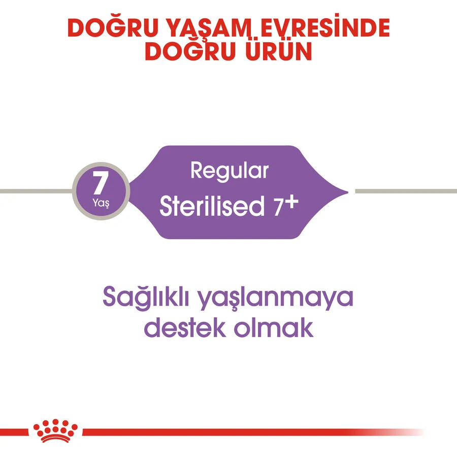 Görsel küçük resim 4