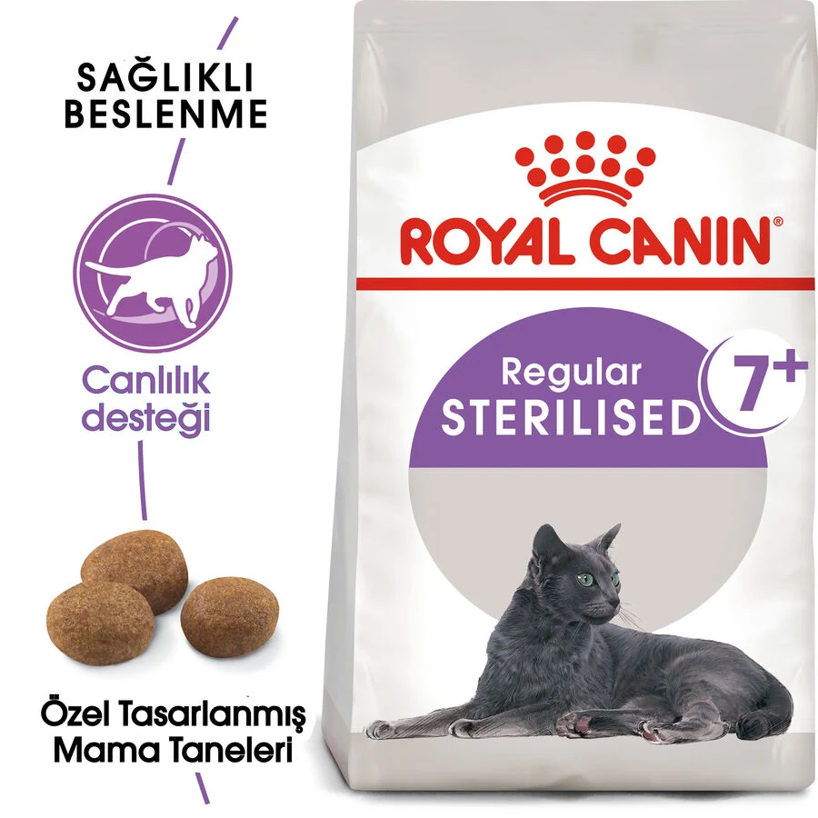 Görsel küçük resim 3