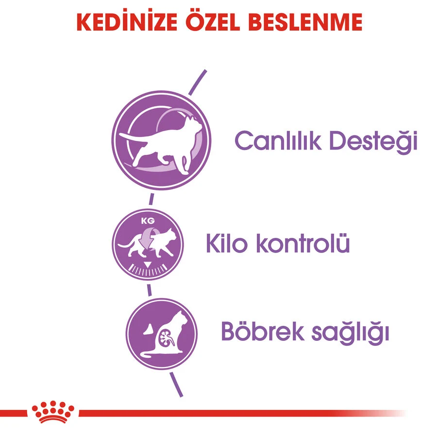 Görsel küçük resim 5