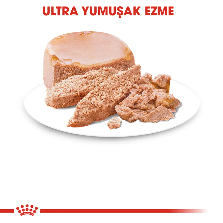 Görsel küçük resim 7