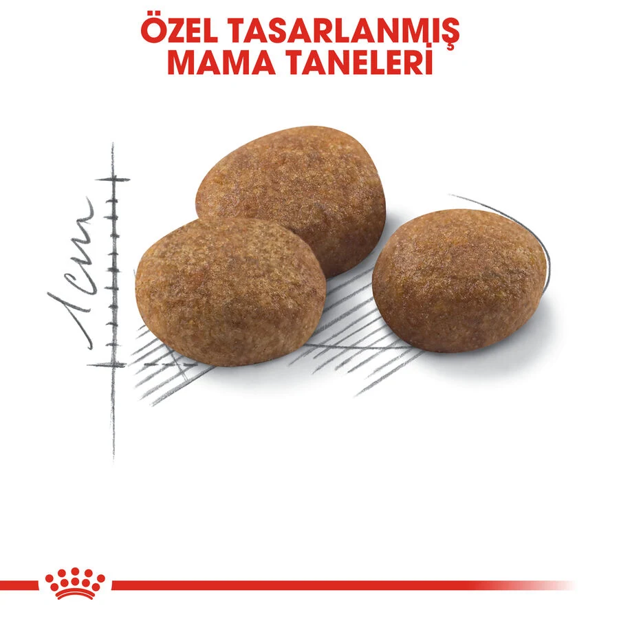 Görsel küçük resim 6