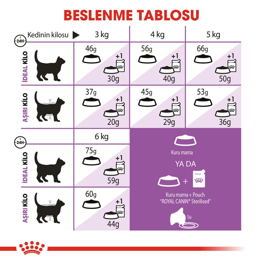 Görsel küçük resim 7