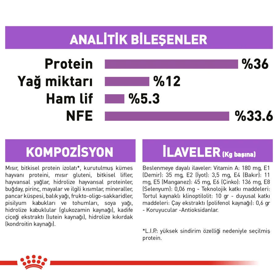 Görsel küçük resim 8