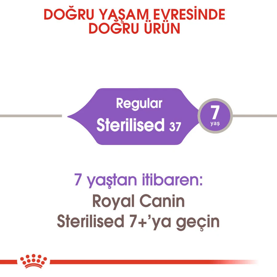 Görsel küçük resim 4