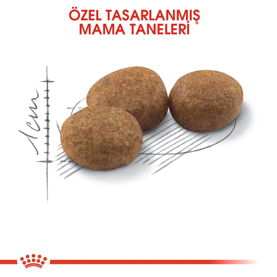 Görsel küçük resim 6