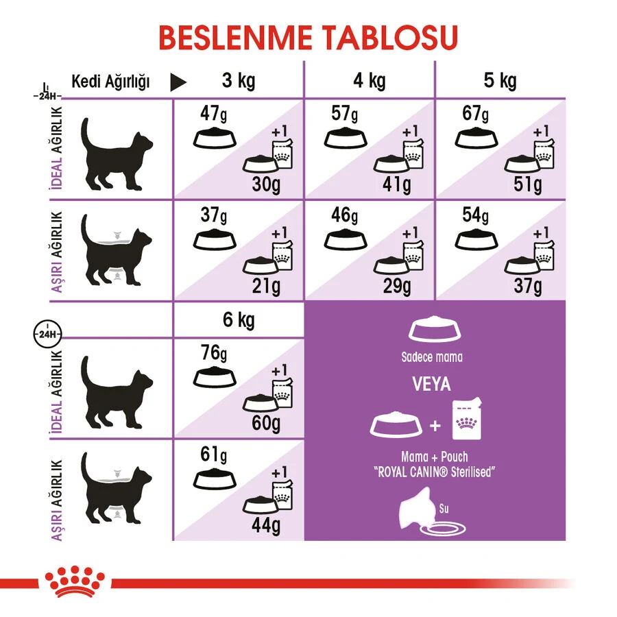 Görsel küçük resim 8
