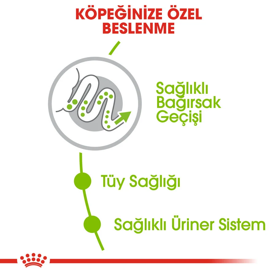 Görsel küçük resim 4