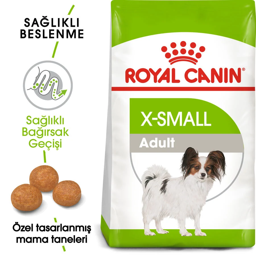 Görsel küçük resim 3