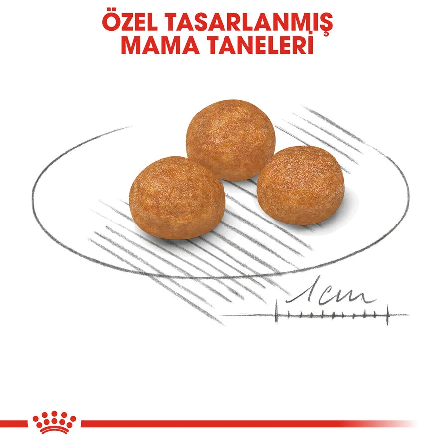 Görsel küçük resim 5
