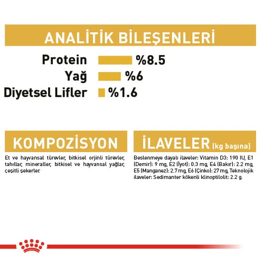 Görsel küçük resim 3