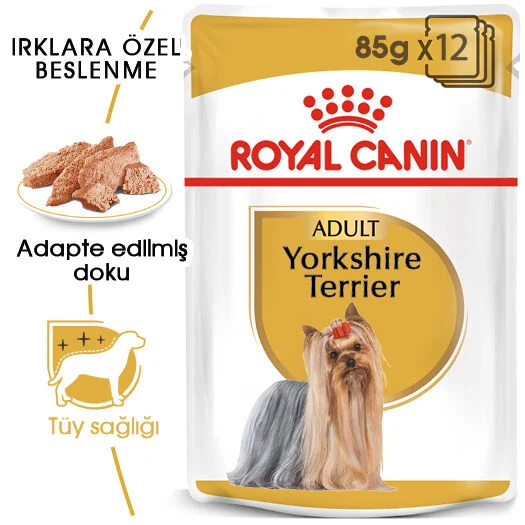 Görsel küçük resim 2