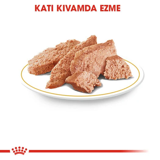 Görsel küçük resim 5