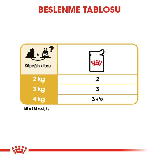 Görsel küçük resim 7