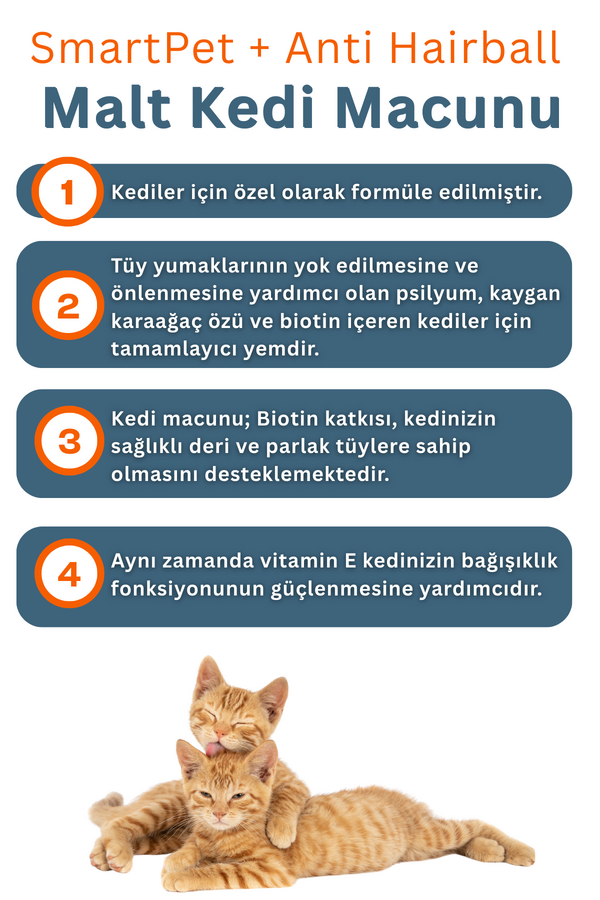 Görsel küçük resim 2