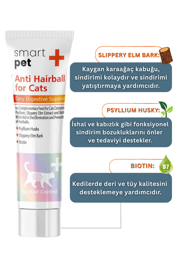 Görsel küçük resim 3