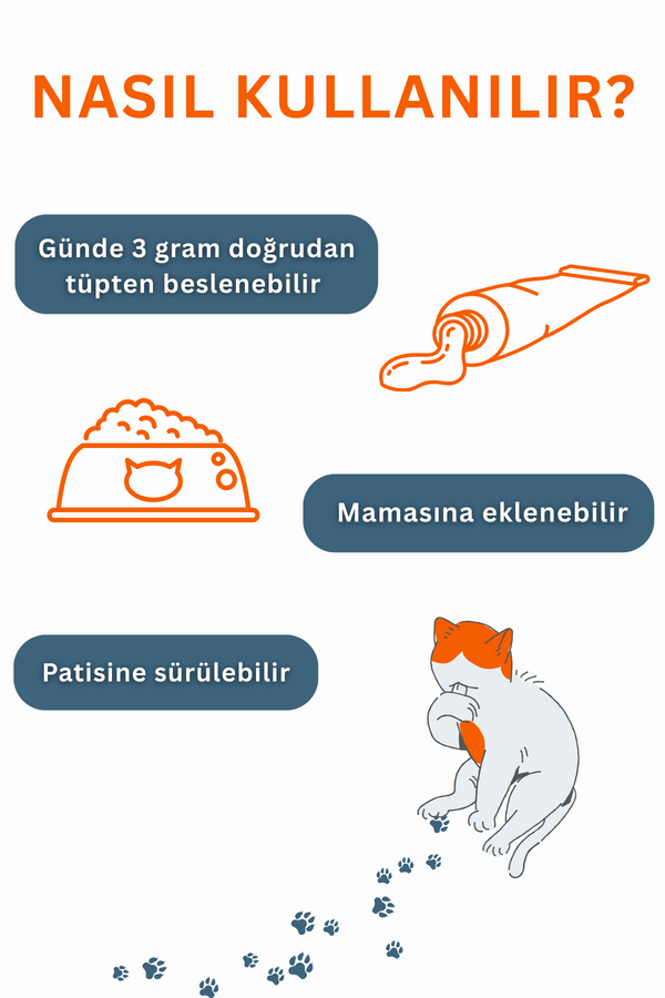 Görsel küçük resim 5